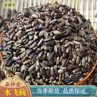 水飞蓟正品500g水飞蓟籽水飞蓟子水飞蓟果水飞雉奶蓟可打粉旗舰店