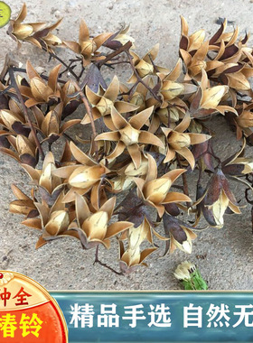 香椿铃500克香铃子香春玲子香玲子香春铃香椿树籽正品旗舰店