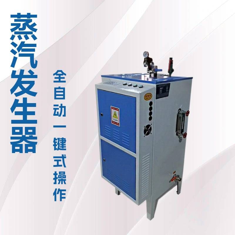 高压 蒸汽除草机 立式煤改电锅炉 蒸汽发生器 加热管体一体式服务