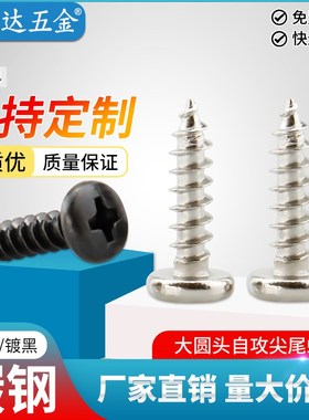 ST2-2.3-2.6-3-4mm碳钢镀镍/黑色BA扁头十字槽大圆头自攻尖尾螺钉