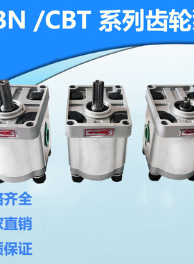 液压油泵齿轮泵CBN-F310 F304 F306 F308 F314 F320 F325 F316