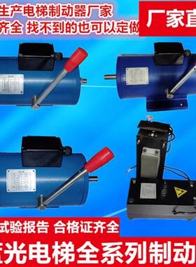 蓝光奥的斯通润电梯制动器DZE-12 14 16 EB2 16E3B2EA方块抱闸BLB