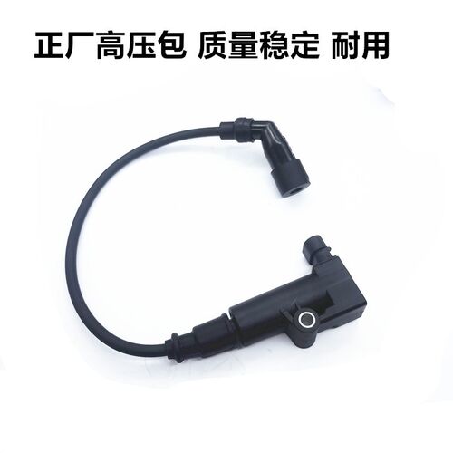 适用春风 ST狒狒 CF125-3电喷德尔福电喷点火线圈高压包 点火器