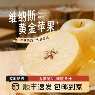 农三娃烟台黄金维纳斯苹果