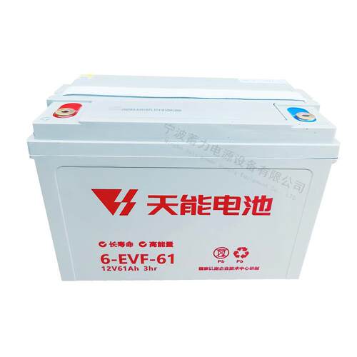 天能6EVF61-3蓄电池台励福龙工中力达西林诺力托盘搬运车叉车电瓶