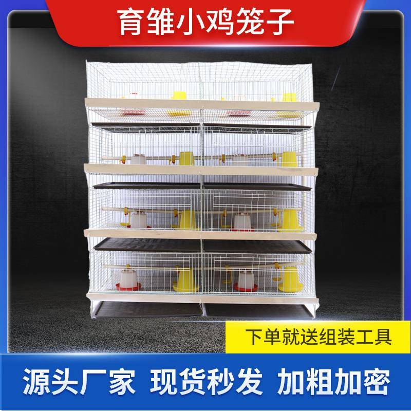 笼小鸡DBR雏4层立式雏鸡笼大育型育雏鸡鸭鹅笼子鸡笼养殖笼厂家