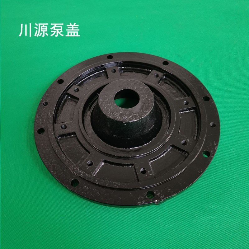 上海川源泵浦配件泵盖 泵体 叶轮 CHD G35 CVD LS铸铁 不锈钢