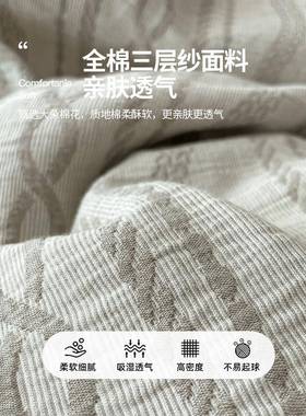 轻厚奢高档全棉双层纱床35871上用2品四件套205新款纯棉加约简被