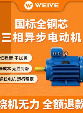 YE.3全三相异步卧式电机立式卧铁壳铜电动机2级4级0.TPL75KW1.1kW