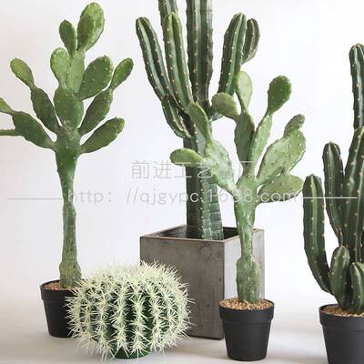 厂家 沙生植物景观人造仙人掌仿真莱昂仙人掌绿植盆栽假植物
