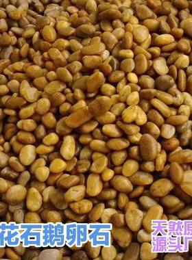 原林景石雨19503花石鹅卵鱼缸园铺路庭院造景假山石观毛料橙色天