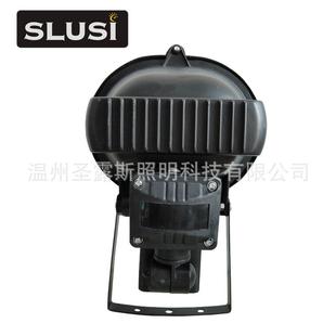 50W黑椭圆带感应户0外D灯草地灯工矿灯LE投光灯LD户ESLS C102外灯