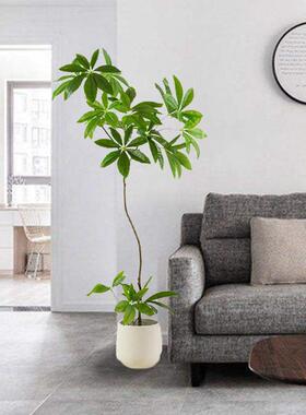 端轻奢仿真UTQ绿植发绒财树天鹅室内客假厅场高景装饰摆件造景植