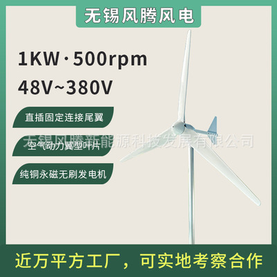 L1-1000W风力发电机微风启动