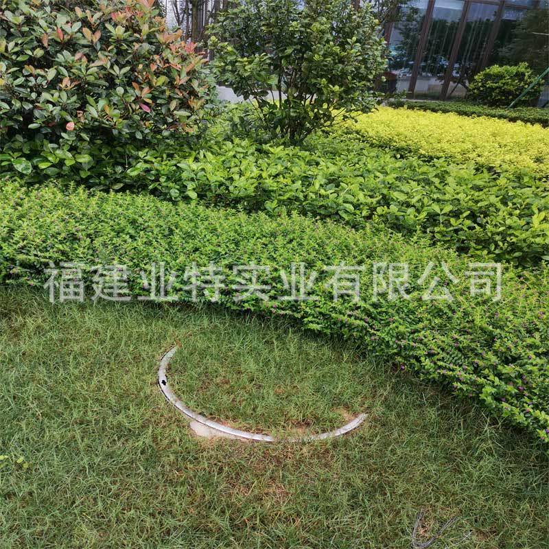 业特承园重式不锈钢种植井900盖一体植草型井盖绿化林景观草盆井