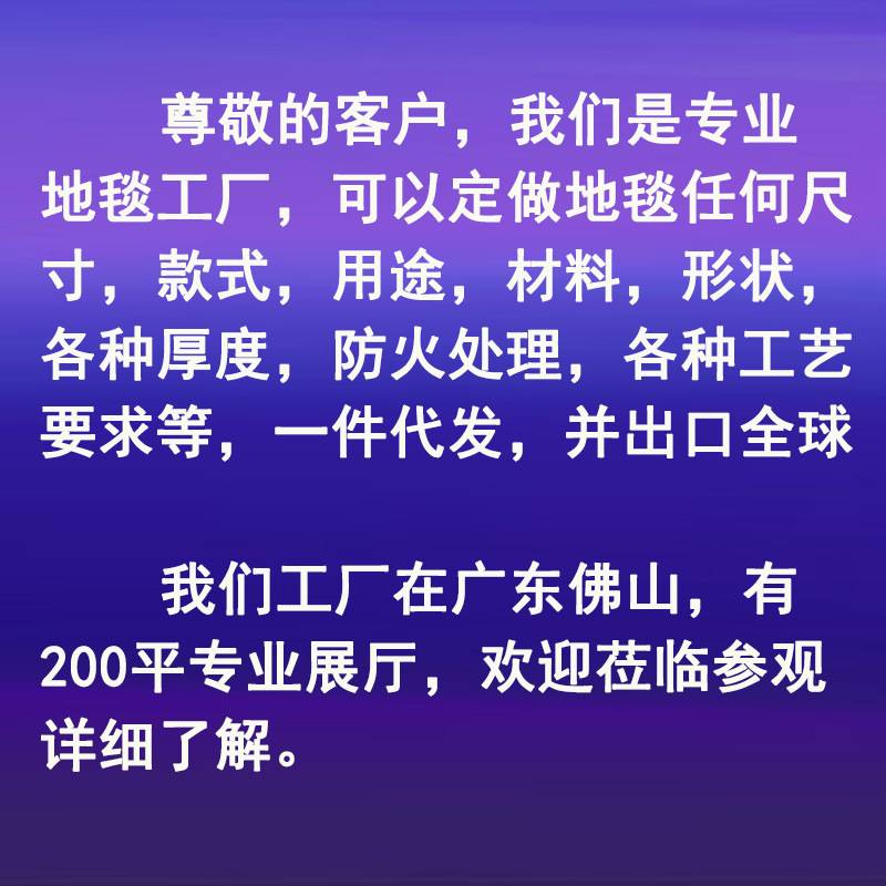 【酒店地毯】宴会厅走廊接待室防火阻燃商用加厚尼龙印花阿克明