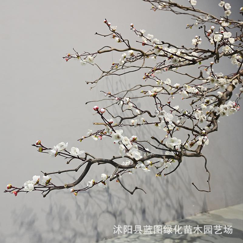 新款仿真悬挂白梅花树家居酒新仿真梅花店场中式壁饰挂装室内假商