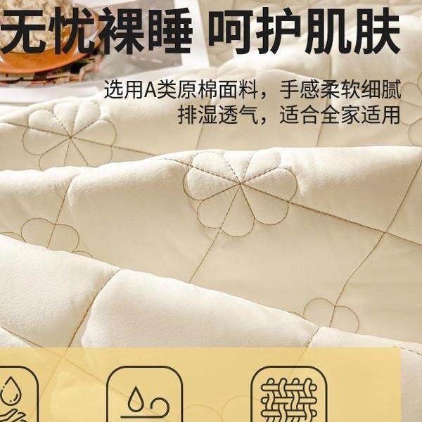 夹棉水保洗棉床裙单件非床垫护罩防滑床单带裙全边三件FS758623套,床上用品,床裙,淘宝优惠券,粉丝福利购,淘宝优惠卷