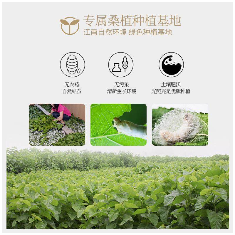 瑞lfzs-001凤桑子蚕被龙丝凤真丝面料秋桐乡蚕丝夏凉被春冬被厂家