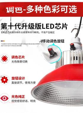 灯1市d摆摊生灯水果地摊充电鲜灯三轮车新款ZEN2夜0252v可调色无