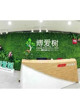 植物墙绿植上墙草壁阳台假花草皮装墙面绿色人造F875MTT9坪背景网