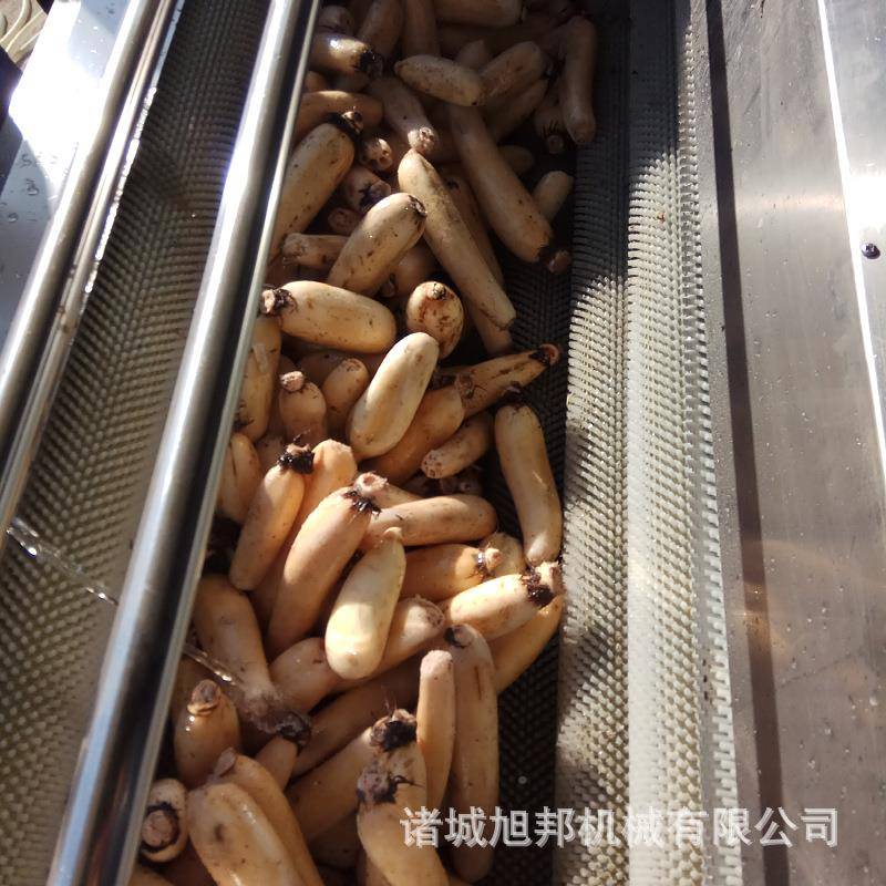 芥去菜毛辊皮洗多机土豆红薯毛刷清洗设备净核桃功能脱RGU皮清洗