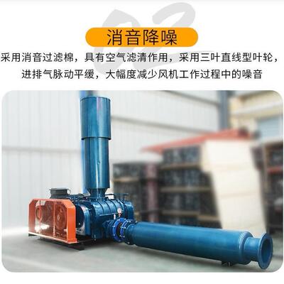 山东罗茨处风机厂家水产养罗茨殖风风机污IRT水理罗茨鼓机