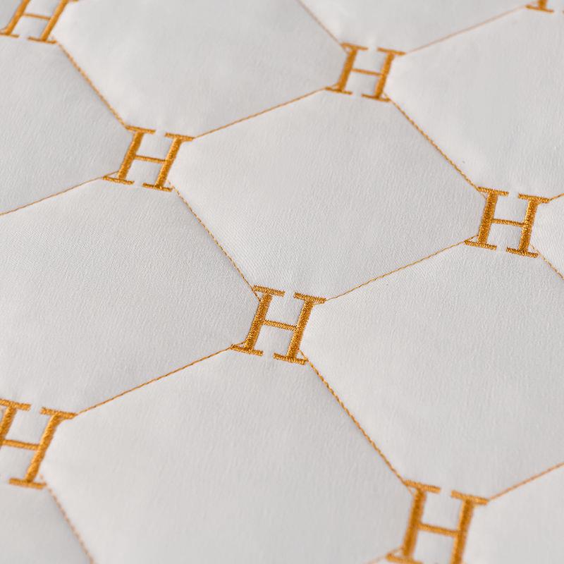 笠新蕾丝刺绣夹棉床单LQR件全包可拆卸花边通加厚款床罩床垫用防