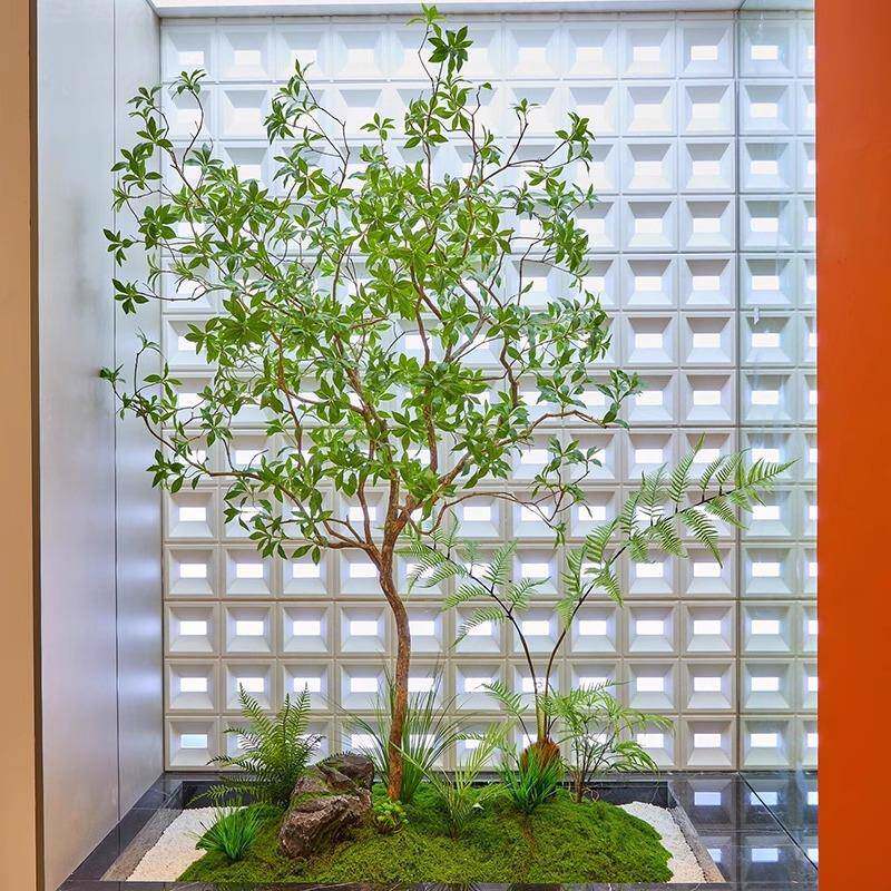 仿真马简WVP醉木室内绿植造景饰树装仿生绿植大型假树摆约景观橱