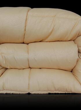 5YA1春季被五子春一米春棉被/4/F755M5TS5斤被芯1.8m秋被1.5米被