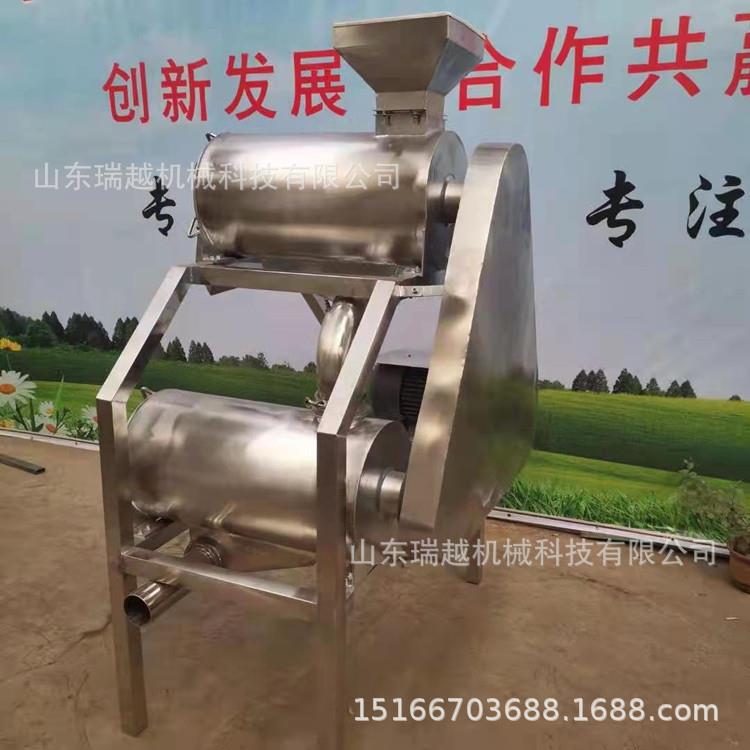 商用番茄去籽打浆机出浆快去核打浆机不锈钢红枣去皮去核打浆机