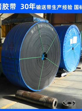 河北供应电厂输煤B1600分层阻燃输送带一般用途织物芯阻燃带