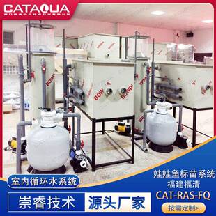 技术娃娃鱼幼鱼标苗循环水系统现代渔场循环水系统养殖