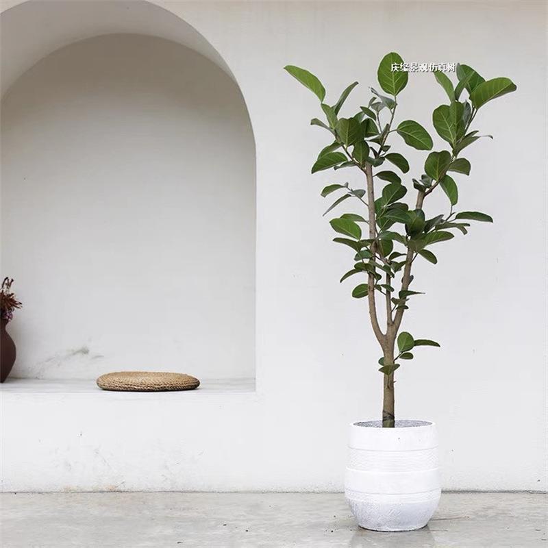 仿真高山榕盆栽室内绿植盆景农家乐客厅摆件装饰园林景观软装庭院