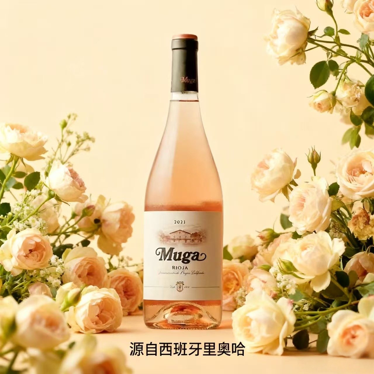 西班牙原瓶进口干红葡萄酒750ml