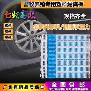加厚仔猪塑料漏粪板母猪产床x配件猪圈地板小猪保育床接粪板漏缝