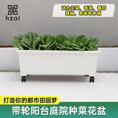 带轮可移动种植箱种菜神器楼顶阳台种菜专用箱塑料花盆户外大花箱