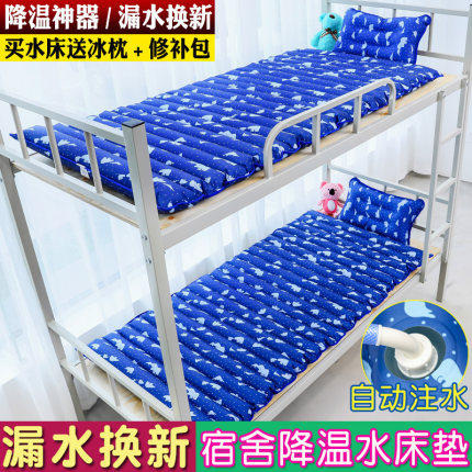 冰垫床垫水垫家用晾o席坐垫双人水床夏天单人学生宿舍床上冰凉坐
