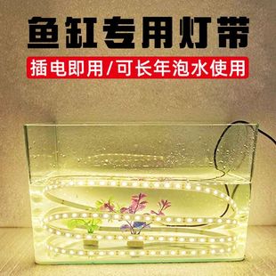鱼缸专用b灯带防水LED灯灯条鱼池户外低压24V水池水下12V软灯装饰