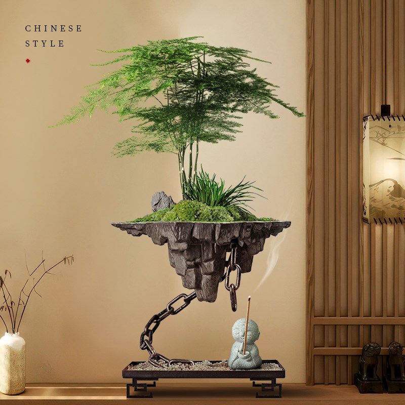 文竹盆景绿植小叶紫檀植物盆栽办公室内花卉客厅书房禅意摆件造景