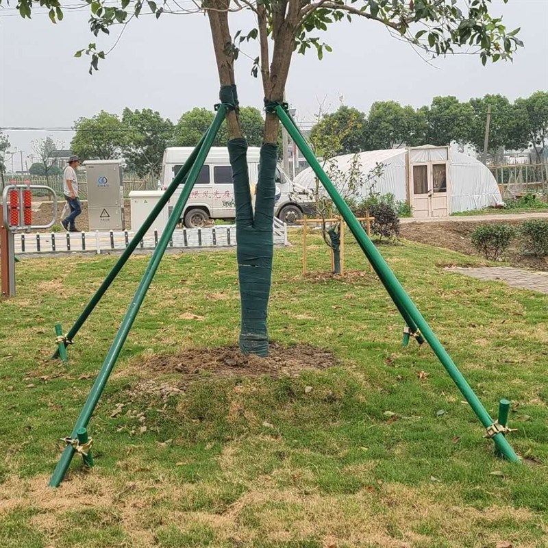 绿化镀锌钢管园林绿化防风v防斜大树支撑杆金属铁抱箍固定器支架