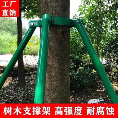 树木支撑固定器铁抱箍防风支撑杆绿化行道镀锌钢管苗X木支撑架烤
