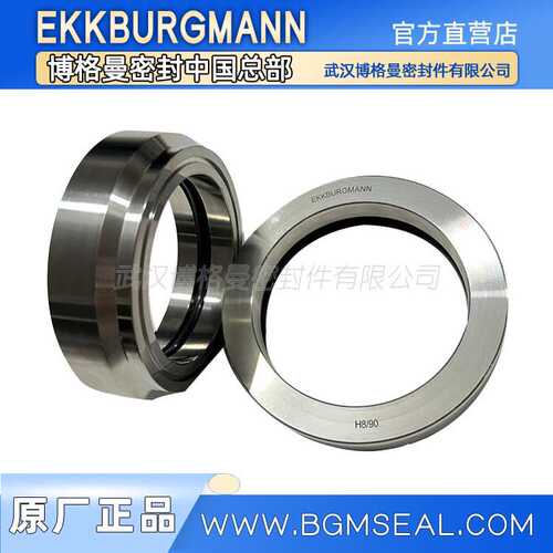 11-H8/85-ES1，H8/90-G25马达用EKKBURGMANN机械密封配件耐高温