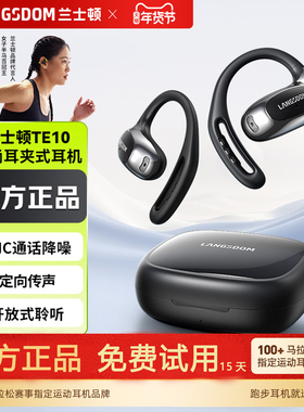 兰士顿TE10挂耳式蓝牙耳机2025新款无线不入耳超长续航运动跑步