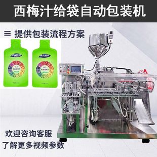 双列水平给袋果汁包装机 酸枣仁浓缩液灌装机 西梅汁包装机定制