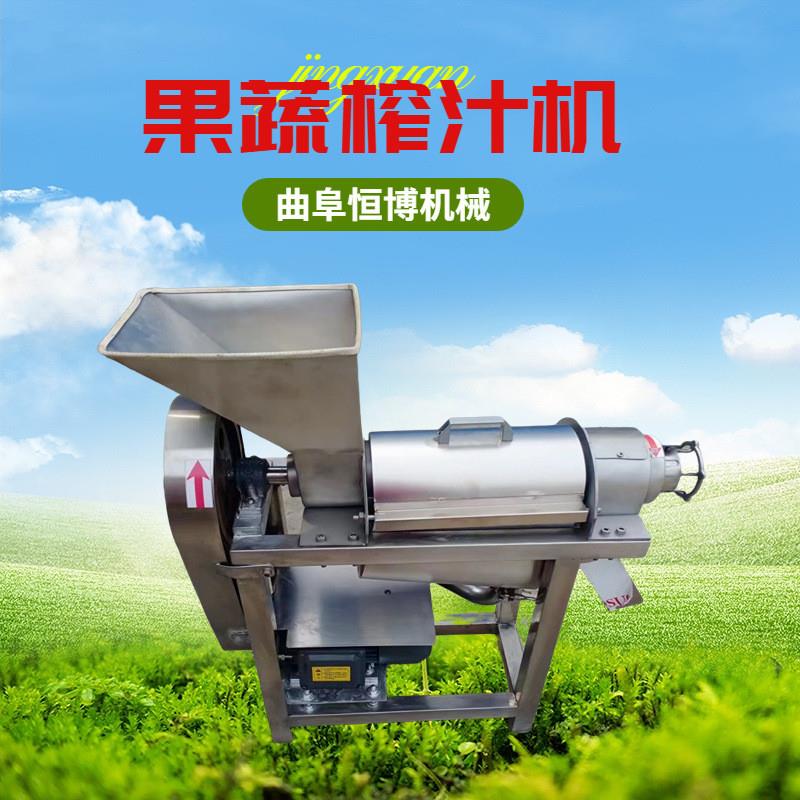 梨榨汁机 工业生姜榨汁机 不锈钢沙棘果榨汁机  多功能水果榨汁机