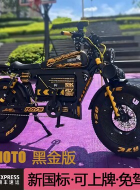 Himoto新国标复古款助力防滑越野电动自行车成人青年代步车可上牌