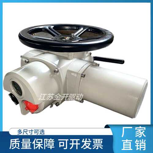DZW电动执行器Z30/Z20-18/W智能调节型电动执行器 厂家供应