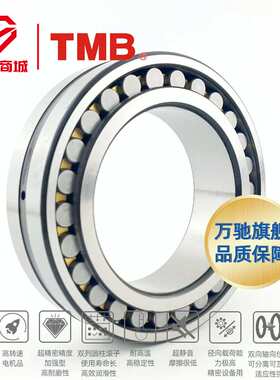 TMB/天马精工NN3022K/P5W33(HS精密)精密机床双列圆柱滚子轴承