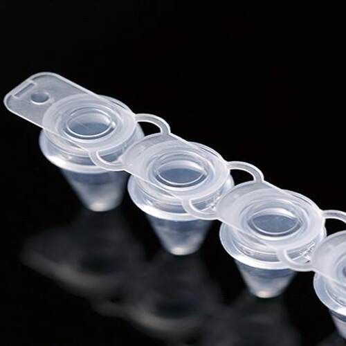巴罗克60-1088W 白色0.1ml qPCR 管 125联管／袋 聚丙烯 非灭菌
